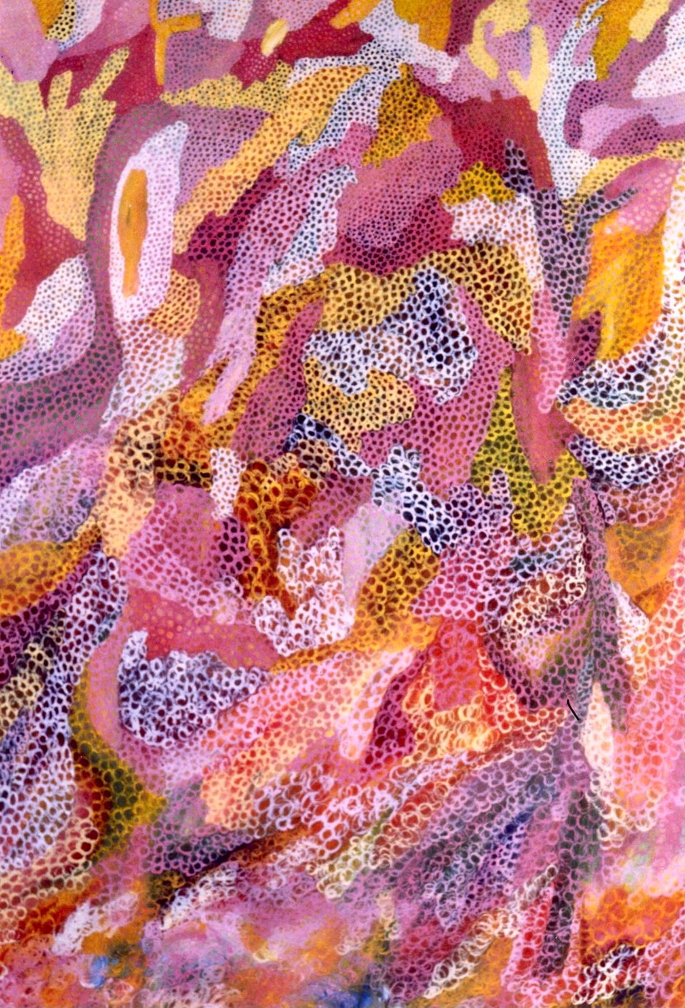Colormotion by Kathy Leland, oil on canvas