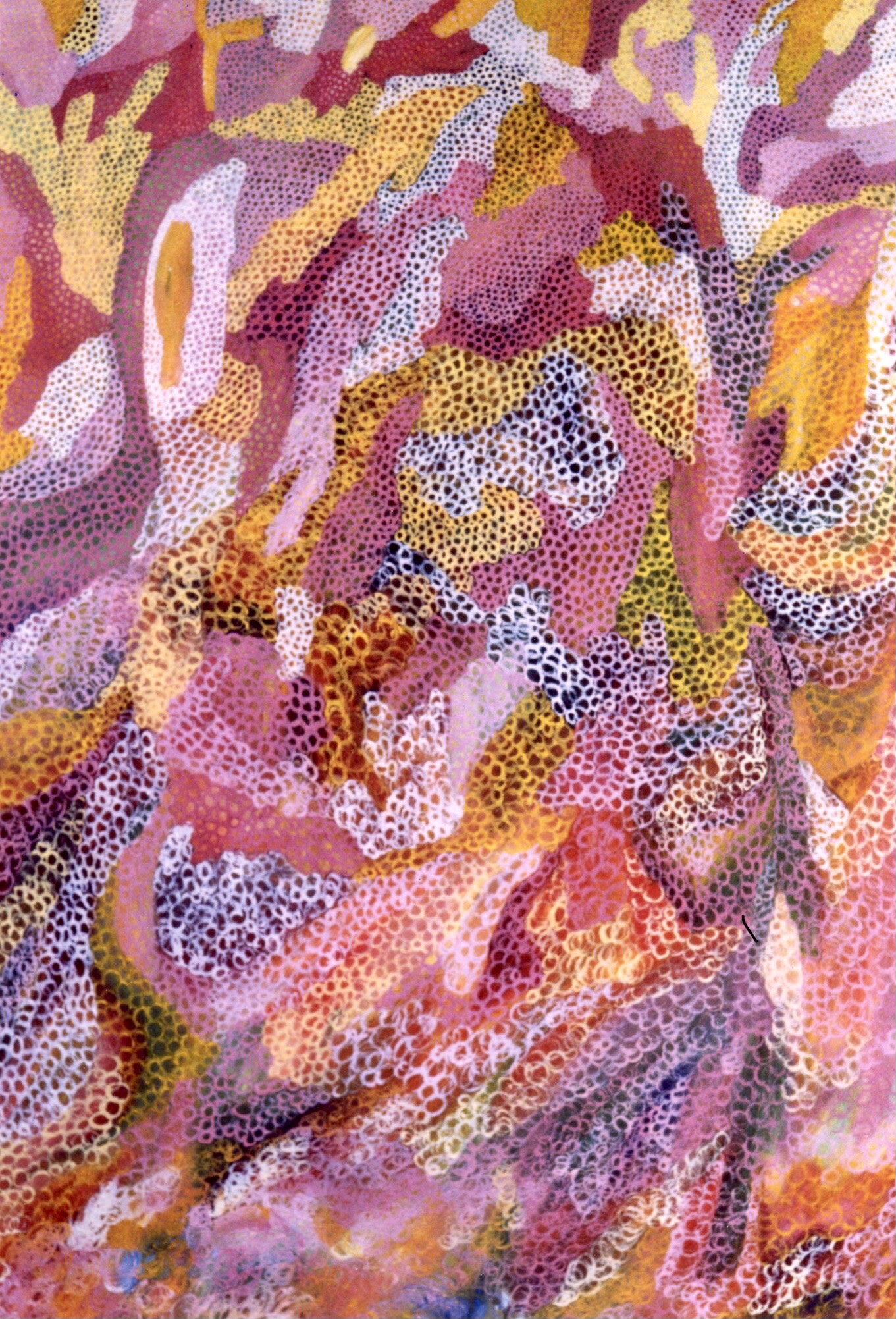Colormotion by Kathy Leland, oil on canvas
